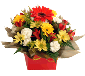 Florist choice box full of beautiful fresh flowers to send for any occasion